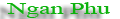 Logo footer Ngan Phu Villa Homstay Hoi An